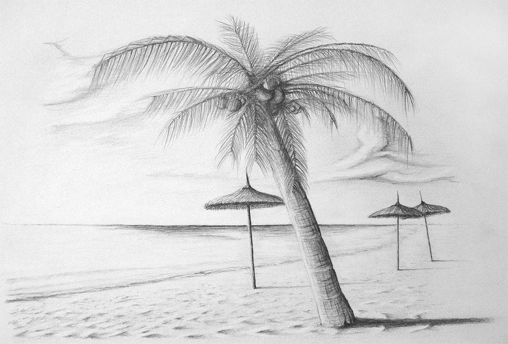 Beach Drawing Pencil Sketch Colorful Realistic Art Images