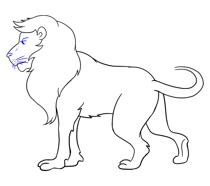 Lion Sketch Drawing Skill
