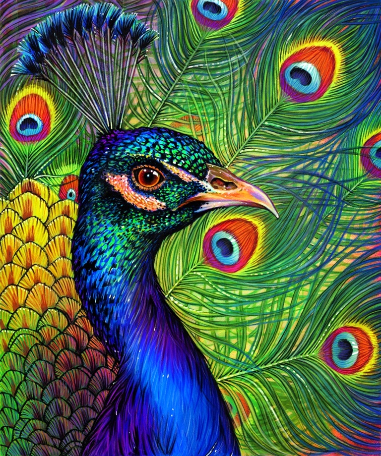 View Pencil Sketch Easy Peacock Wall Painting Pics