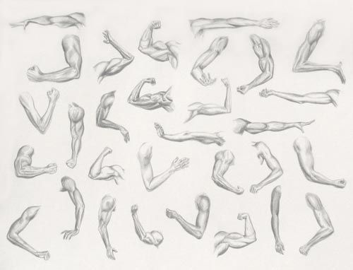 Featured image of post Sketch Female Arm Drawing 365 day art project day 295