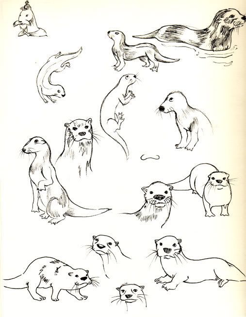 Featured image of post Simple Easy Otter Drawing We will guide you through the process of drawing this we will guide you through the process of drawing this cute otter by using simple geometric shapes alphabet letters and numbers