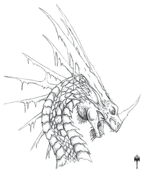 Dragon Head Drawing Art Drawing Skill