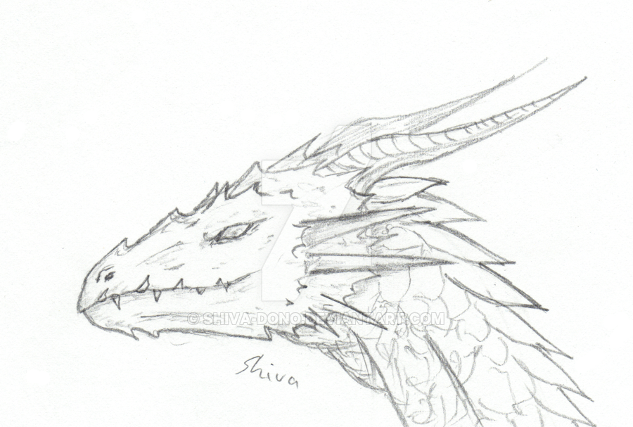 Dragon Head Drawing Sketch Drawing Skill