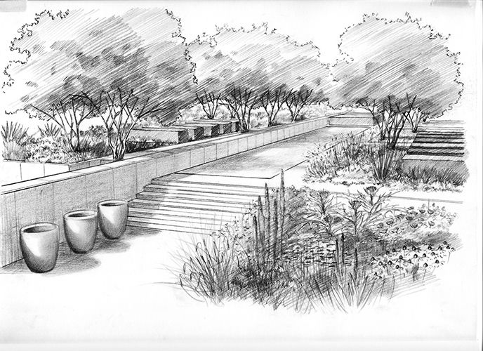 Garden Drawing, Pencil, Sketch, Colorful, Realistic Art ...