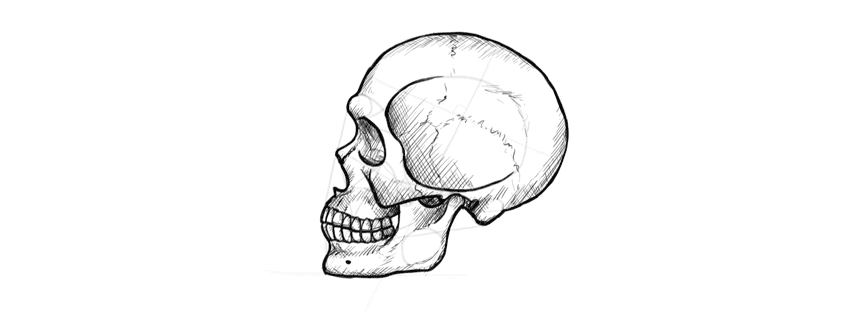 Skull Drawing, Pencil, Sketch, Colorful, Realistic Art Images | Drawing