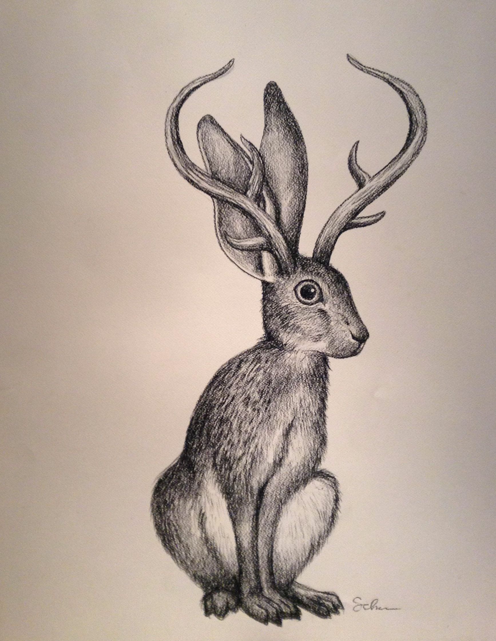 Jackalope Drawing, Pencil, Sketch, Colorful, Realistic Art Images
