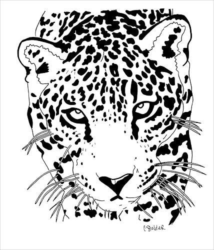 Jaguar Animal Drawing Pencil Sketch Colorful Realistic Art