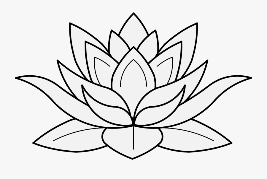 Изображение рисунка цветка лотоса