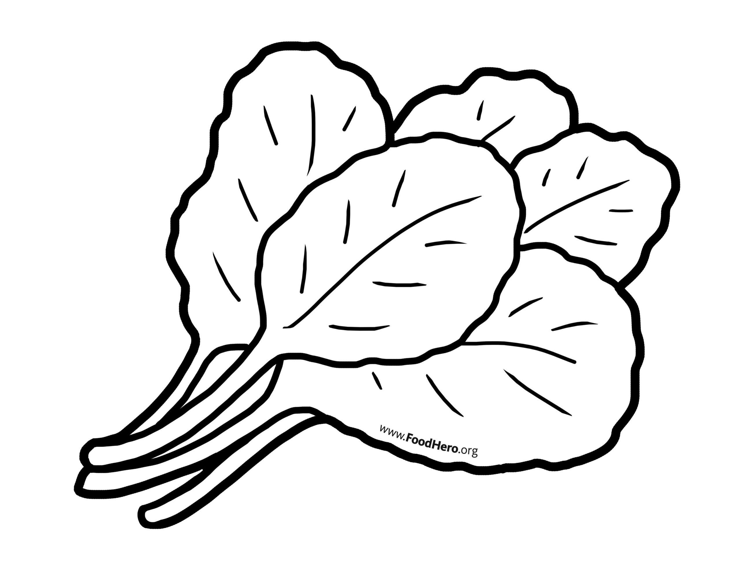 Vegetables Drawing | Drawing Skill