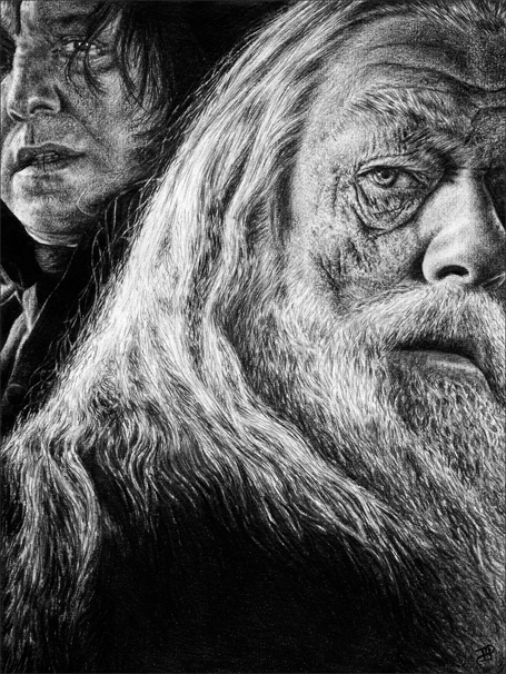 Albus Dumbledore Drawing Pic