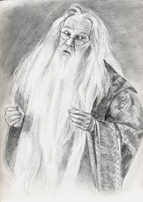 Albus Dumbledore Realistic Drawing