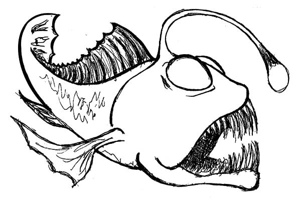 Anglerfish Best Drawing