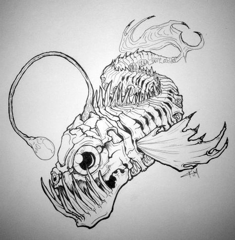 Anglerfish Drawing