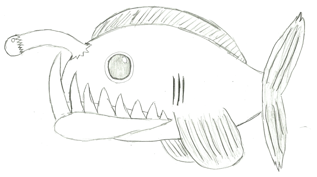 Anglerfish Pic Drawing