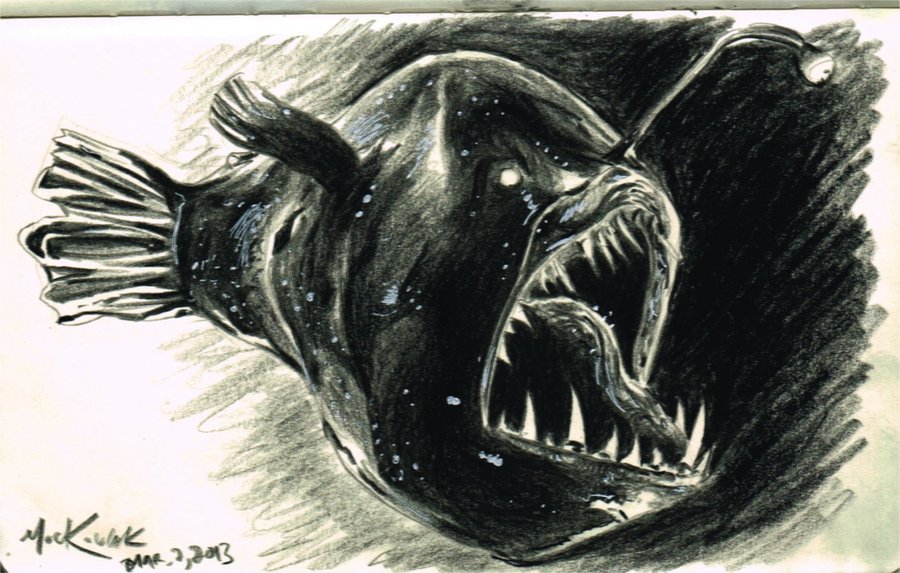 Anglerfish Sketch