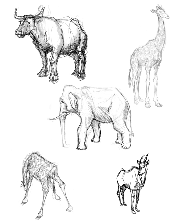 Animal Picture Drawing