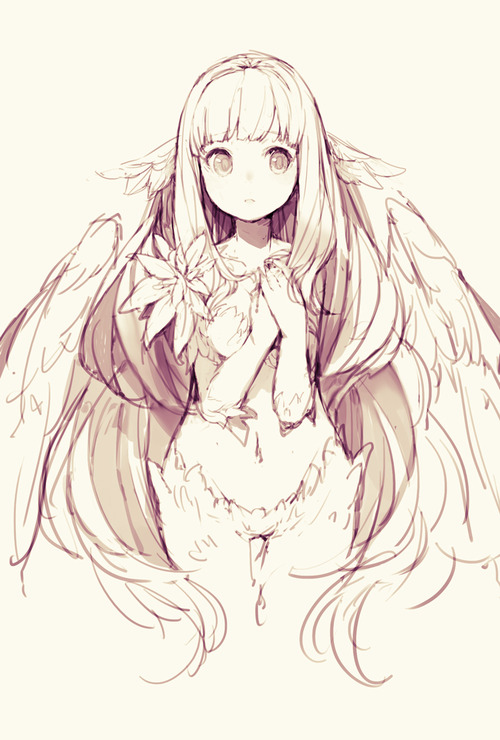 Anime Angel Pic Drawing