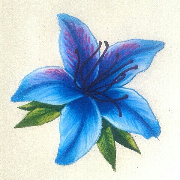 Azalea Flower Drawing