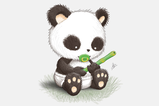 Baby Panda Photo Drawing
