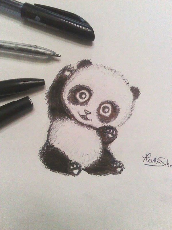 Baby Panda Pic Drawing