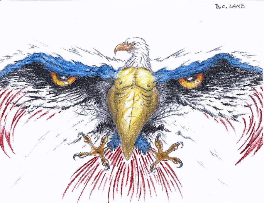 Bald Eagle Image Drawing