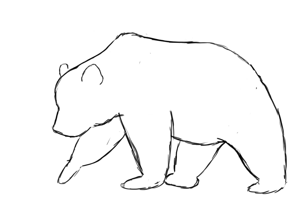 Bear Pic Drawing