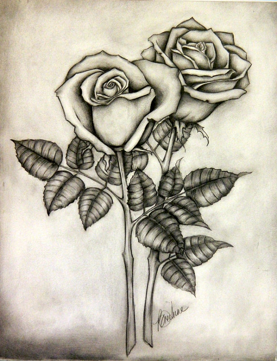 Beautiful Rose Art