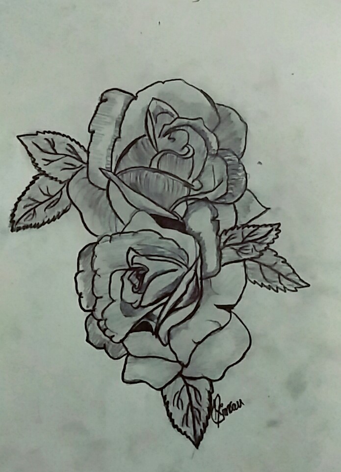 Beautiful Rose Drawing