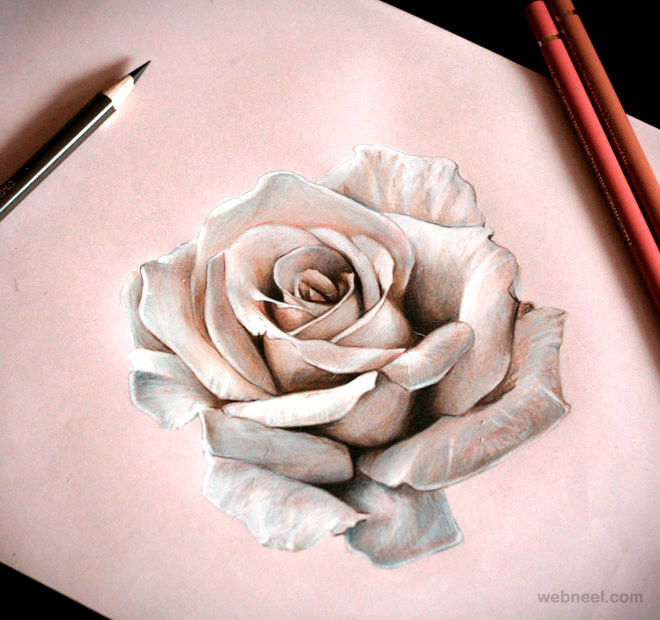 Beautiful Rose Image Drawing