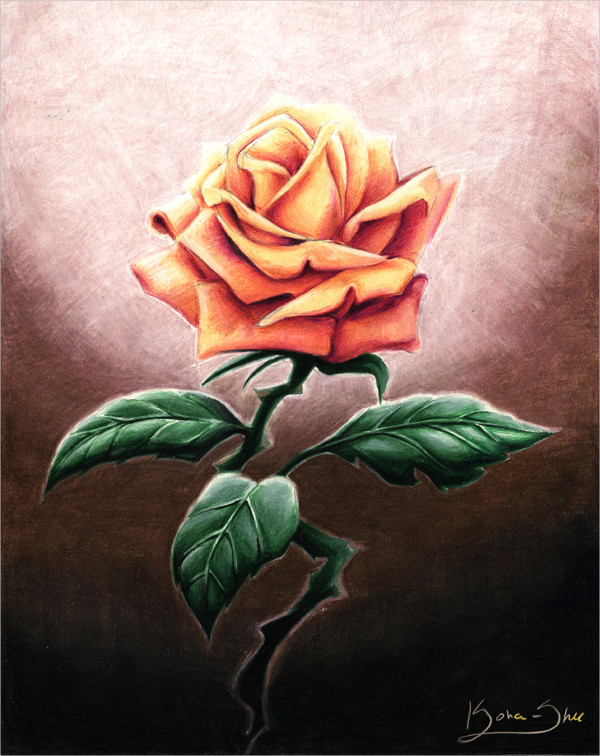 Beautiful Rose Picture Drawing