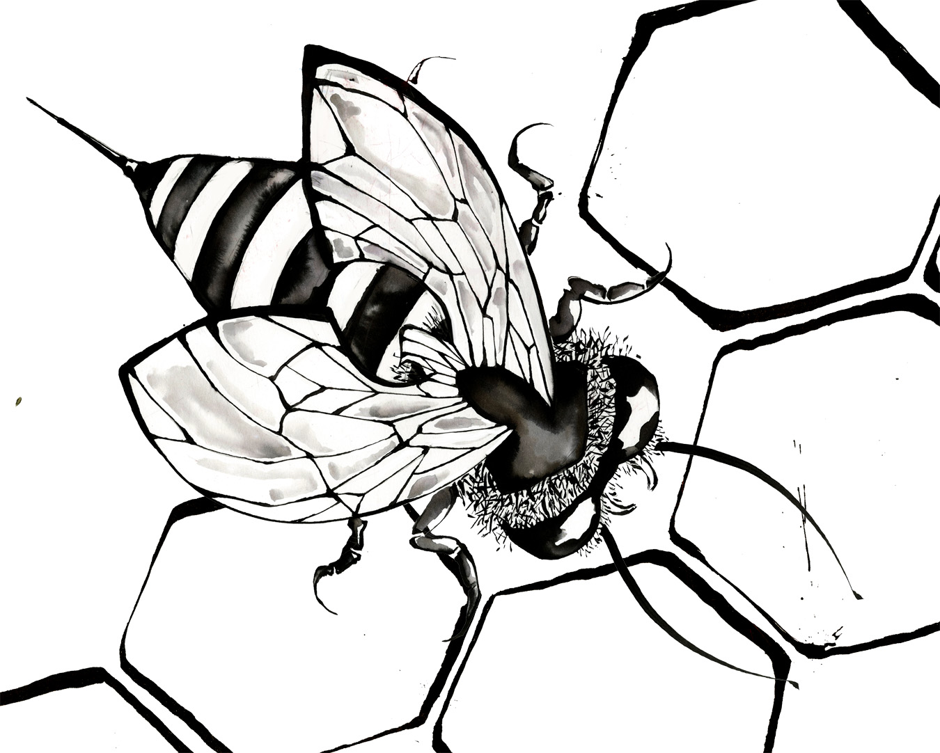 Bee Beautiful Image Drawing