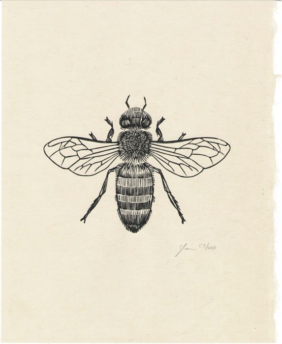 Bee Drawing