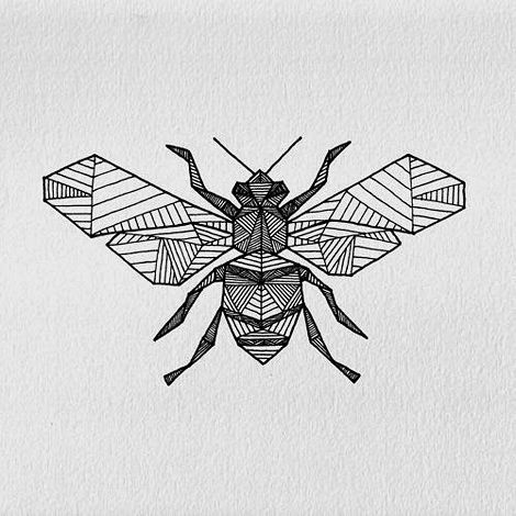 Bee Photo Drawing