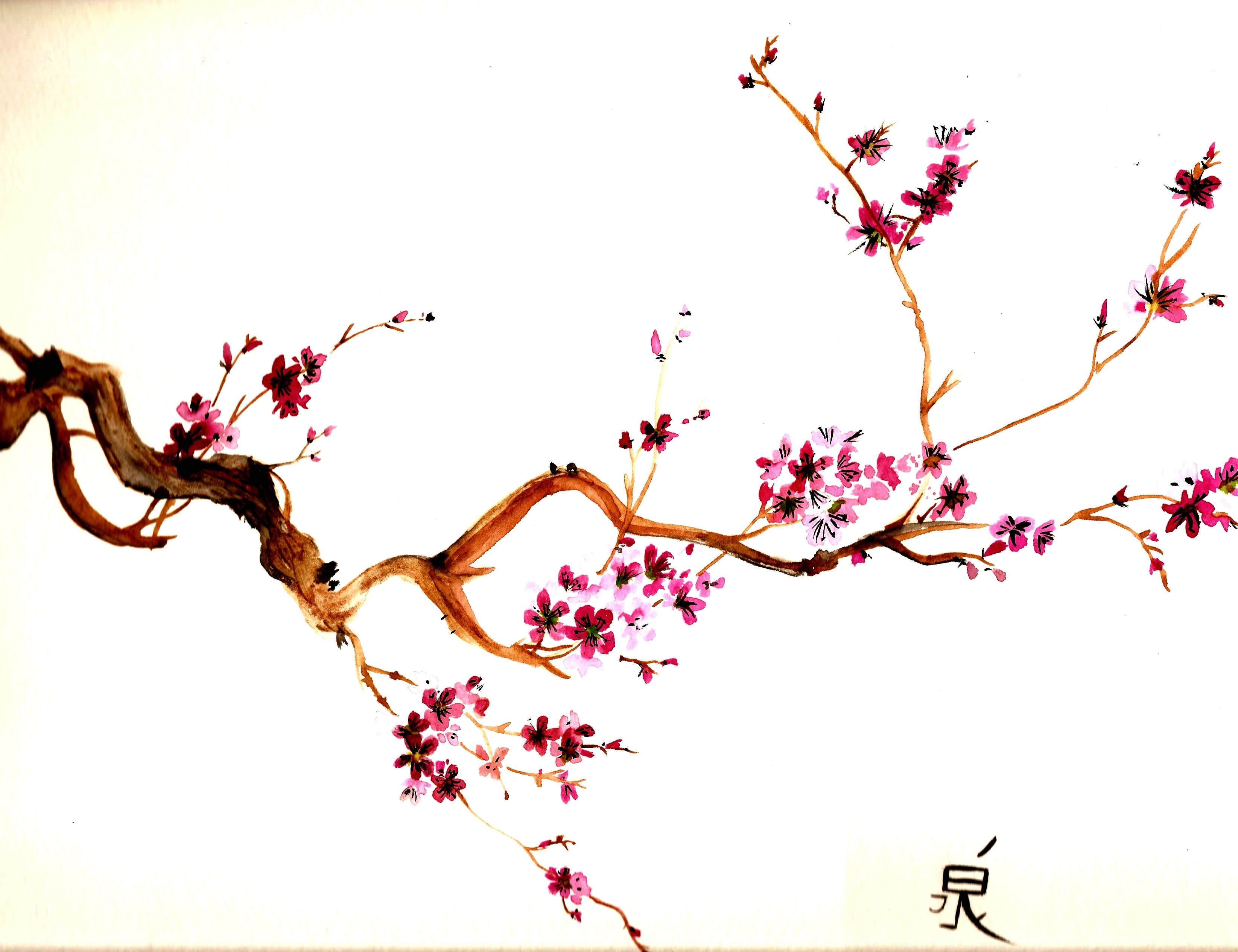 Blossom Drawing Image