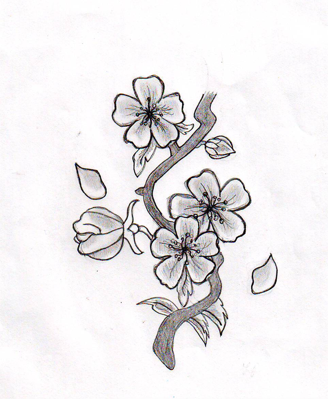 Blossom Picture Drawing