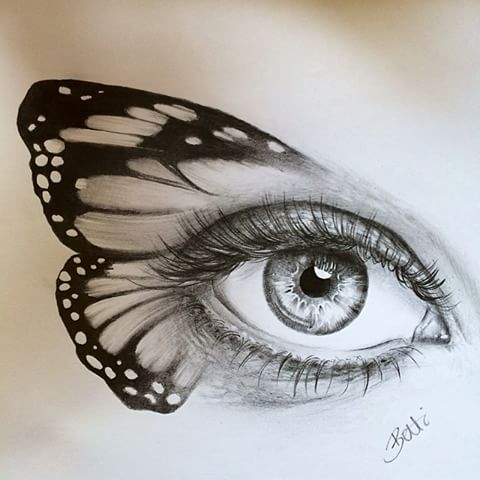 Butterfly Eyes Image Drawing
