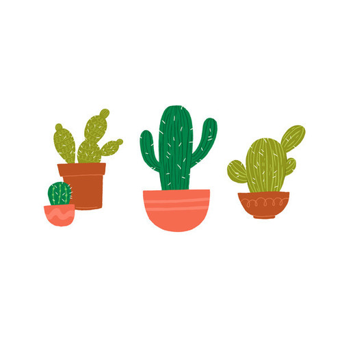 Cactus Art