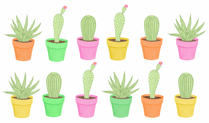 Cactus Image Drawing