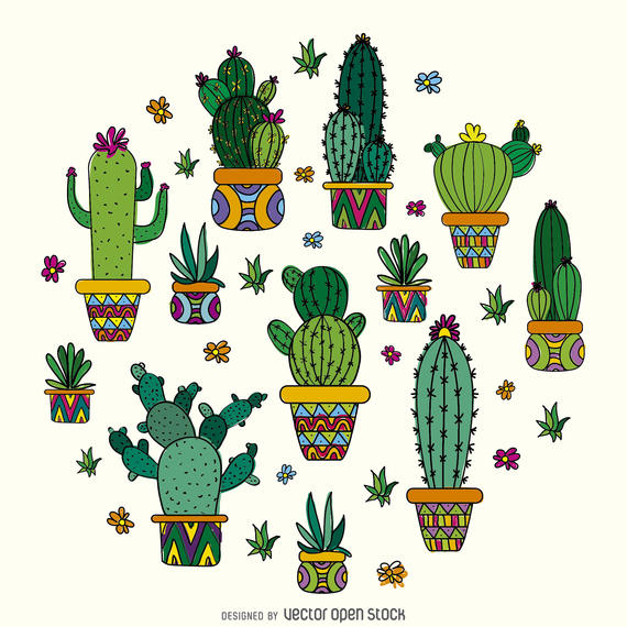 Cactus Pic Drawing