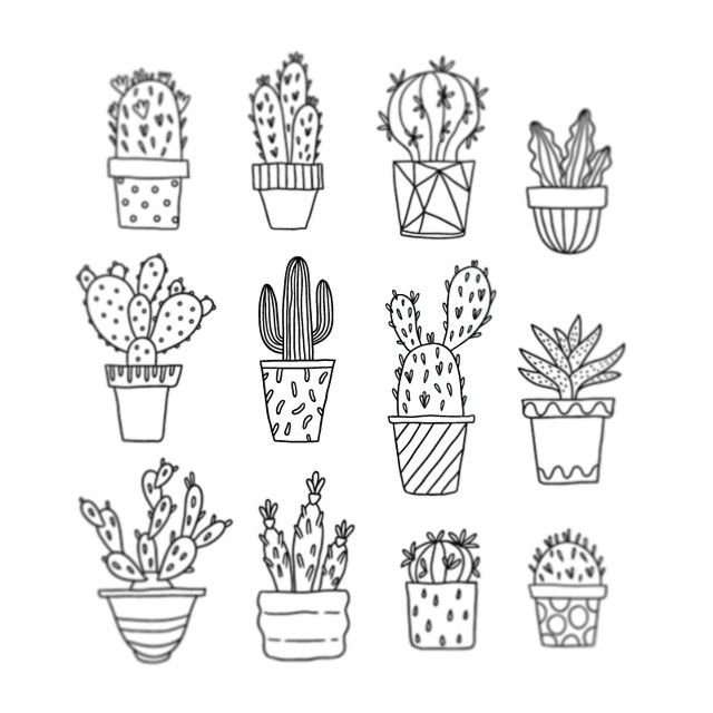 Cactus Picture Drawing