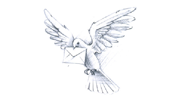 Carrier Pigeon Art