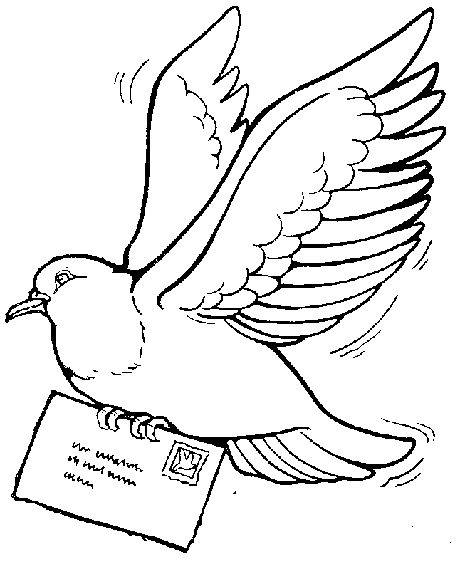 Carrier Pigeon Beautiful Image Drawing