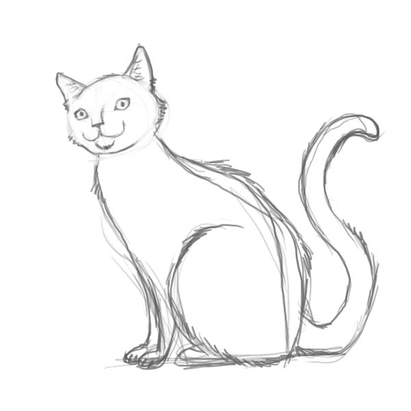 Cat Beautiful Image Drawing