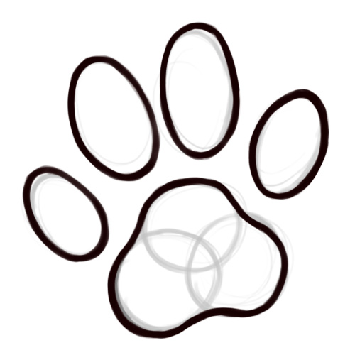Cat Paws Drawing Pic