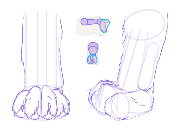 Cat Paws Sketch