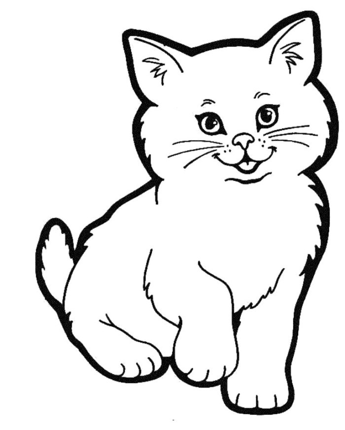 Cat Pic Drawing