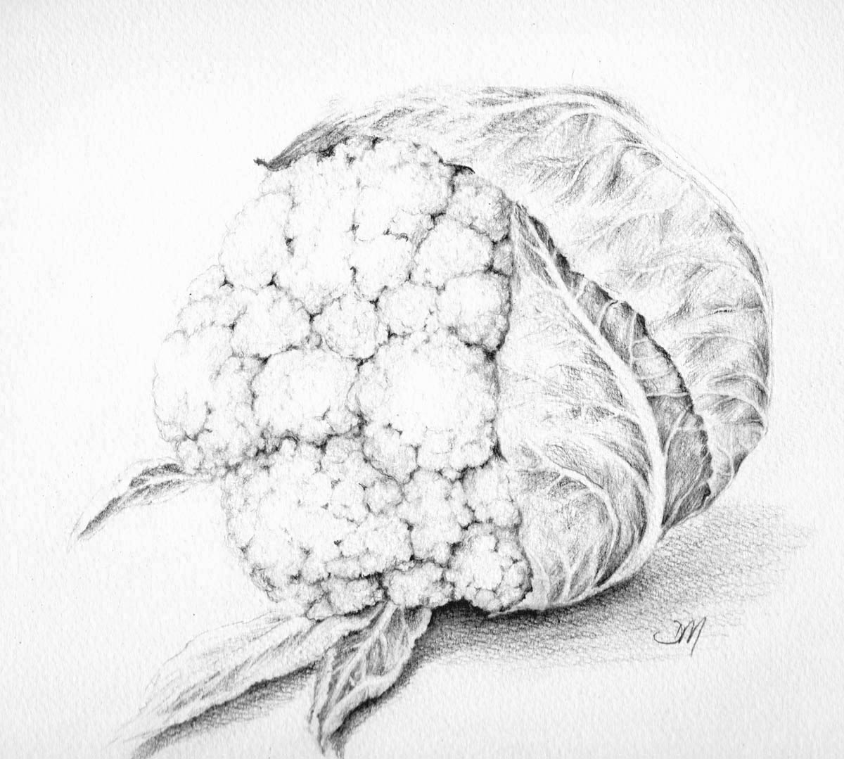 Cauliflower Picture Drawing