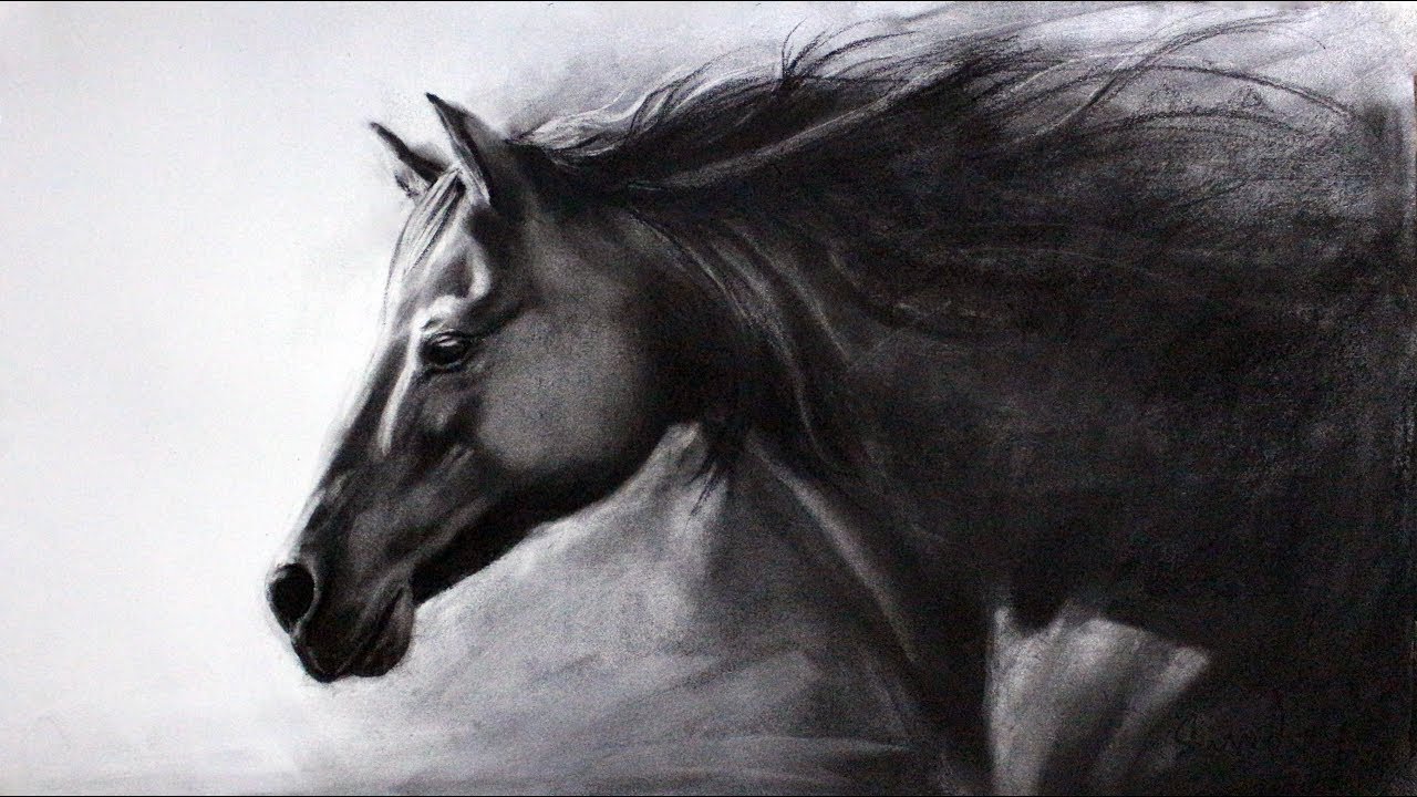 Charcoal Beautiful Image Drawing