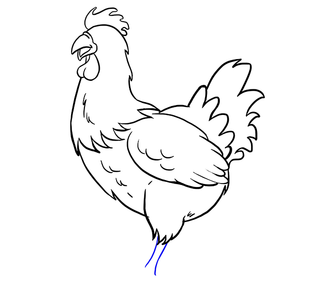 Chicken Amazing Drawing