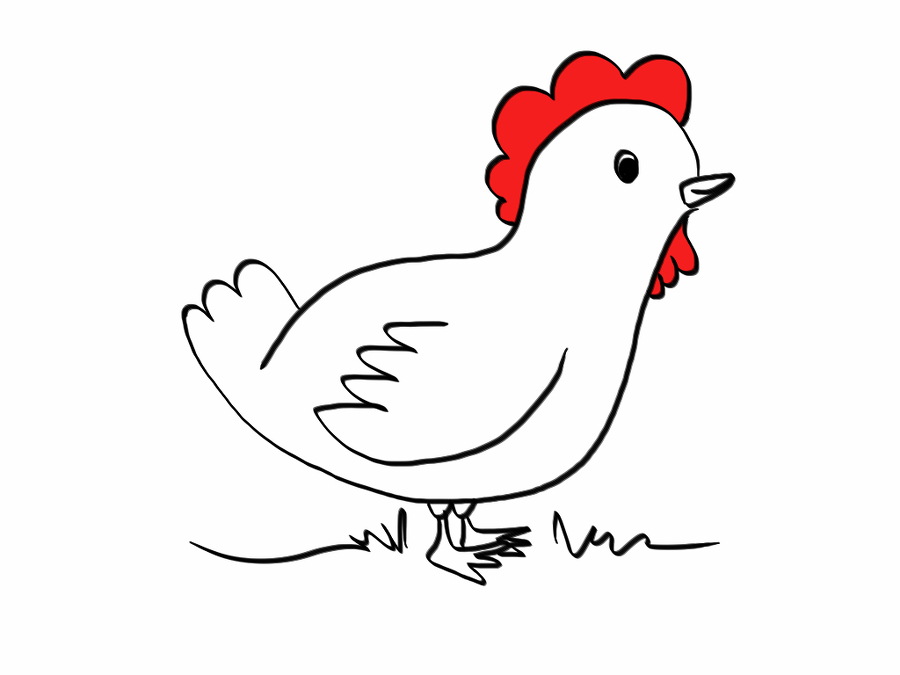 Chicken Beautiful Image Drawing